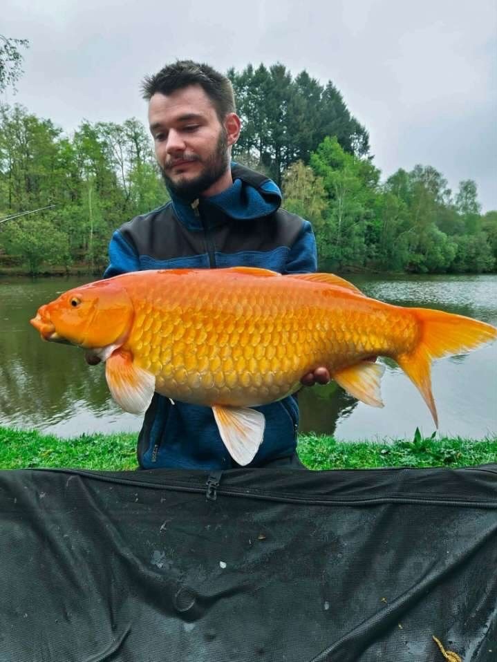 carpe140